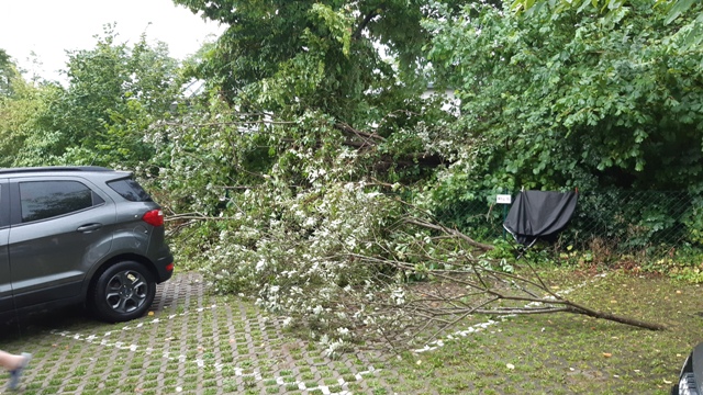 20210815_185644 groß.jpg